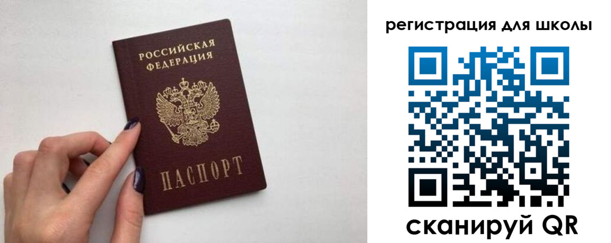 прописка поиск в Петушках